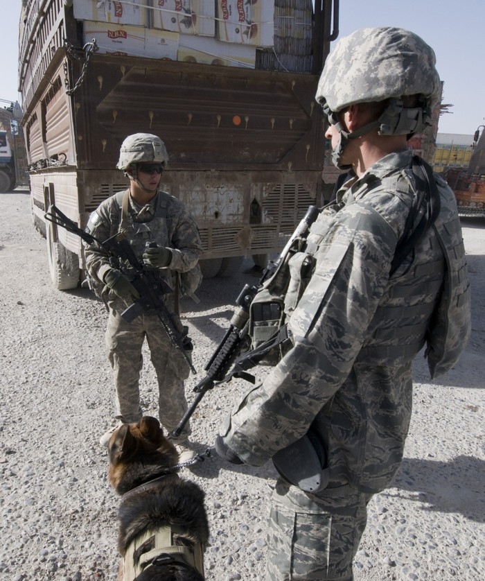 Chó nghiệp vụ, những đồng đội không thể thiếu của lính Mỹ